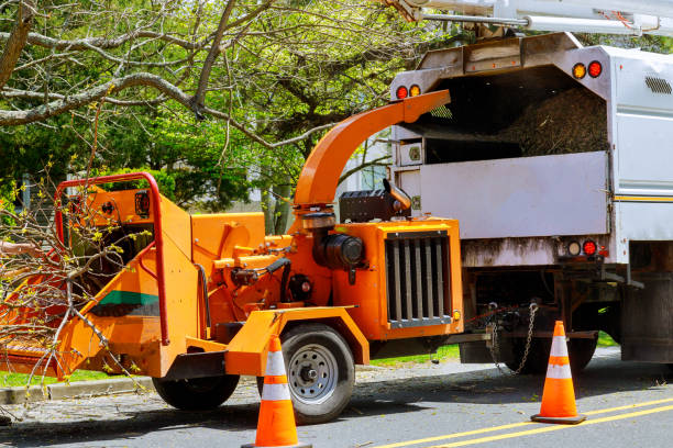 Lawn Drainage Solutions in Marshall, VA