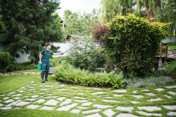 Best Tree Health Inspection  in Marshall, VA