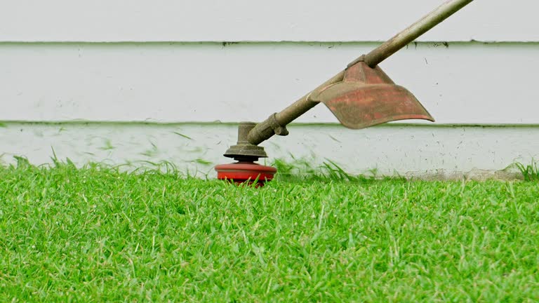 Best Tree and Shrub Care  in Marshall, VA